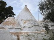 Rustici e casali in vendita di 100 m² in Contrada Sardella