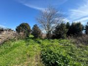 Rustici e casali in vendita di 100 m² in Via Ceccaccio