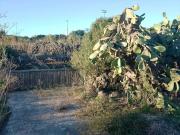 Rustici e casali in vendita di 100 m² in Contrada Bonsulton