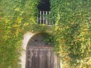 Rustici e casali in vendita di 1100 m²