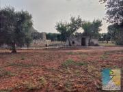 Rustici e casali in vendita di 110 m² in Contrada Veneri