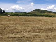 Rustici e casali in vendita di 1150 m² in Strada senza nome