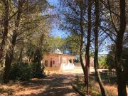 Rustici e casali in vendita di 115 m² in Contrada conserva