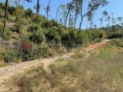 Rustici e casali in vendita di 116 m² in Via Cisogna