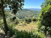 Rustici e casali in vendita di 117 m²