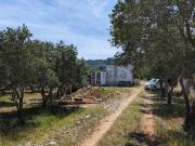 Rustici e casali in vendita di 11 m² in Via Candelora