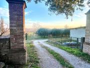 Rustici e casali in vendita di 1200 m² in Via San Pietro