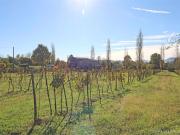 Rustici e casali in vendita di 120 m² in Strada...