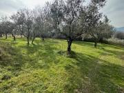 Rustici e casali in vendita di 120 m² in Via Collemassaro, 3