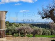 Rustici e casali in vendita di 120 m² in Via Tommaso...