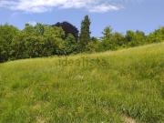 Rustici e casali in vendita di 1270 m² in Strada Cenasco, 48