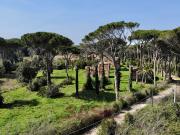 Rustici e casali in vendita di 1350 m² in Via Vecchia...