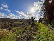 Rustici e casali in vendita di 135 m² in Via dell&apos...