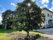 Rustici e casali in vendita di 1385 m² in Via Sei Fontane