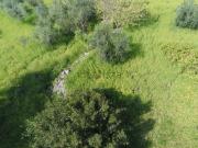 Rustici e casali in vendita di 140 m² in Via Orfanotrofio