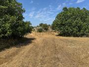 Rustici e casali in vendita di 140 m² in Via Paparazio