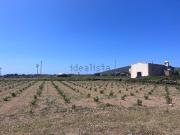 Rustici e casali in vendita di 140 m² in Via San Michele, 86