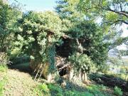 Rustici e casali in vendita di 140 m² in Via Tovi