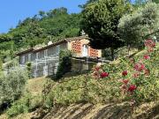 Rustici e casali in vendita di 145 m² in Via di Valgiano