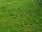 Rustici e casali in vendita di 150 m² in Contrada Lago