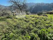 Rustici e casali in vendita di 150 m² in Via della Fornace