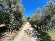 Rustici e casali in vendita di 154 m² in Via Montegallo, 65