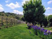 Rustici e casali in vendita di 156 m² in Strada...