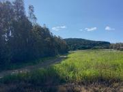 Rustici e casali in vendita di 158 m² in Strada Vicinale...