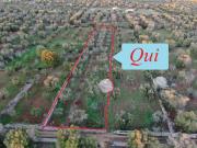 Rustici e casali in vendita di 15 m² in Contrada Mattera