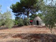 Rustici e casali in vendita di 15 m² in Contrada Monte, 1