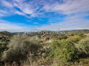 Rustici e casali in vendita di 160 m²
