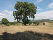 Rustici e casali in vendita di 160 m² in Strada delle Selve