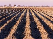 Rustici e casali in vendita di 16 m² in Via Angelo...