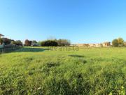 Rustici e casali in vendita di 1750 m² in Via Ulivi