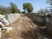 Rustici e casali in vendita di 180 m²