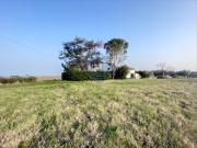 Rustici e casali in vendita di 180 m² in Contrada Piana...