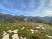 Rustici e casali in vendita di 190 m² in Via Treo