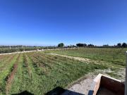 Rustici e casali in vendita di 200 m² in Contrada difesa