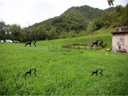 Rustici e casali in vendita di 200 m² in Via San Martino