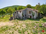 Rustici e casali in vendita di 200 m² in Località Selve
