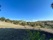 Rustici e casali in vendita di 200 m² in Via San Vito...