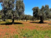 Rustici e casali in vendita di 20 m²