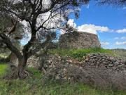 Rustici e casali in vendita di 20 m² in Contrada San...