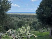 Rustici e casali in vendita di 20 m² in Contrada Torchiano