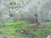 Rustici e casali in vendita di 20 m² in Via Provinciale