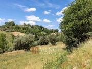 Rustici e casali in vendita di 220 m² in Contrada Palombara