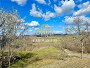 Rustici e casali in vendita di 222 m²