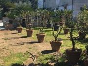 Rustici e casali in vendita di 225 m²
