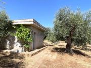 Rustici e casali in vendita di 22 m² in Contrada fratta