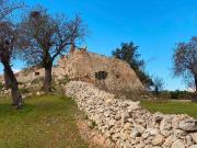 Rustici e casali in vendita di 230 m² in Contrada Eloro...